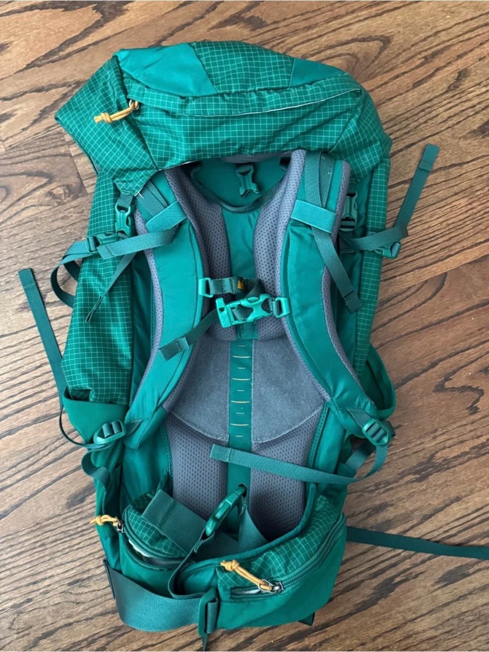REI CO-OP Tarn 40 Kids Hiking Pack - Green - Picture 2 of 4